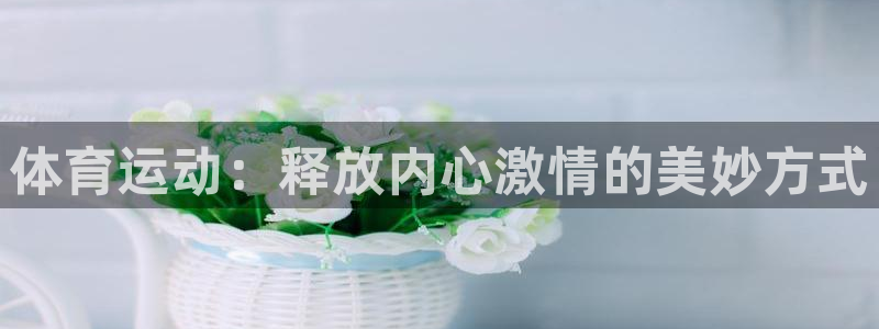 伟德国际4平台