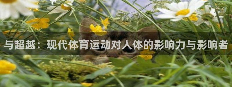伟德国际4代理