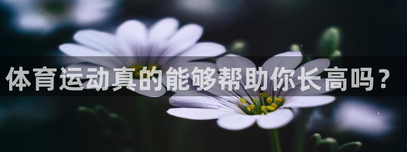 伟德国际3代理