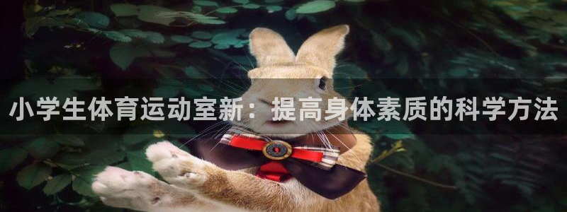 伟德国际代理注册