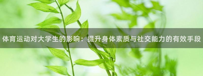 伟德国际凯捷平台注册链接