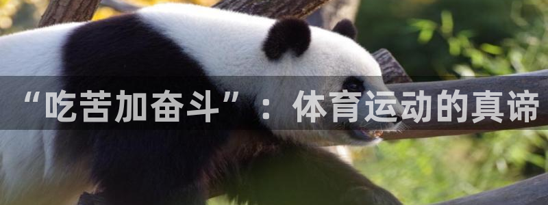 伟德国际4注册