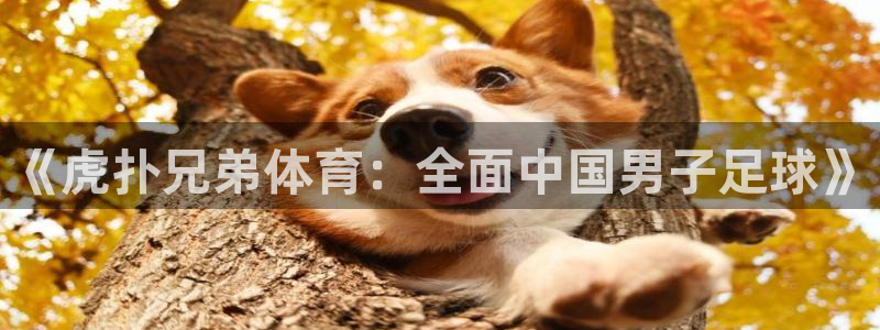 伟德国际体育4
