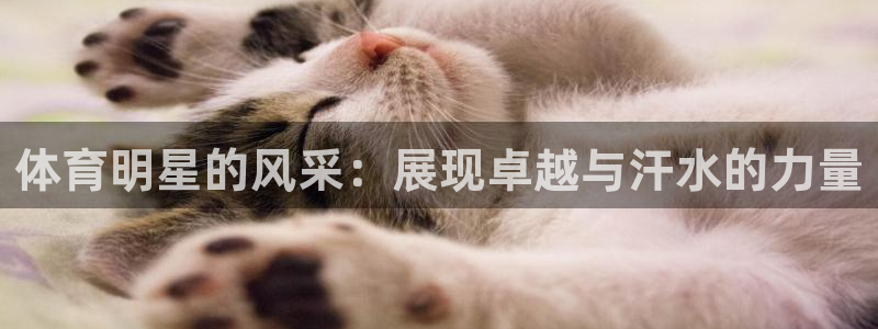 www.伟德国际体育.com