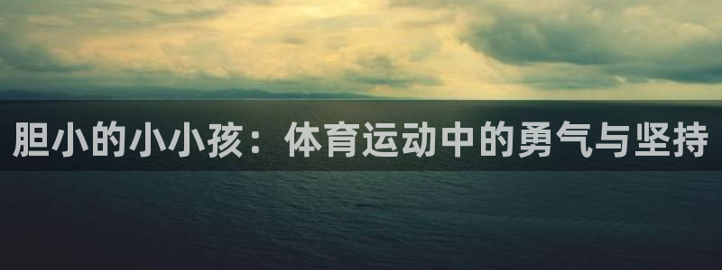 伟德国际体育合法嘛
