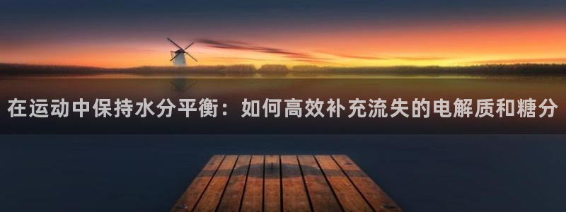 德国伟德国际集团