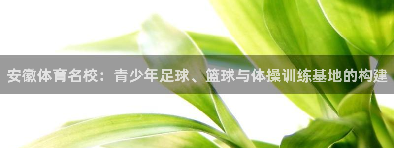 伟德国际4登录