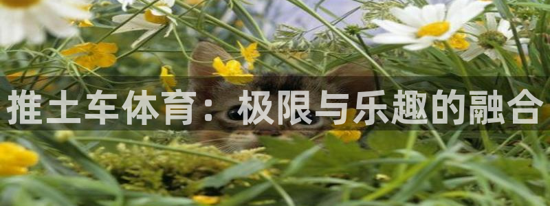 伟德国际平台开户链接