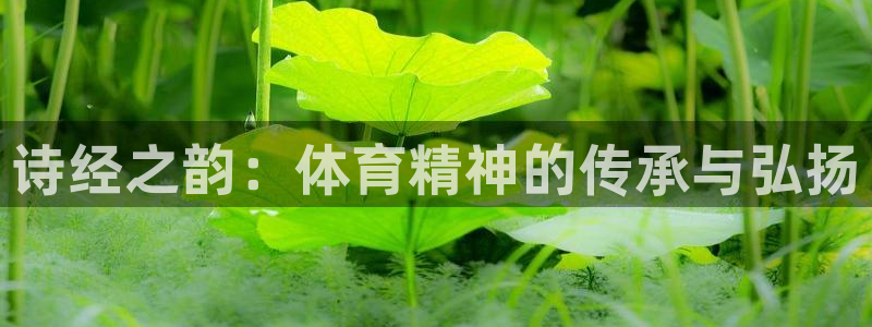 东莞市伟德国际电子科技有限公司
