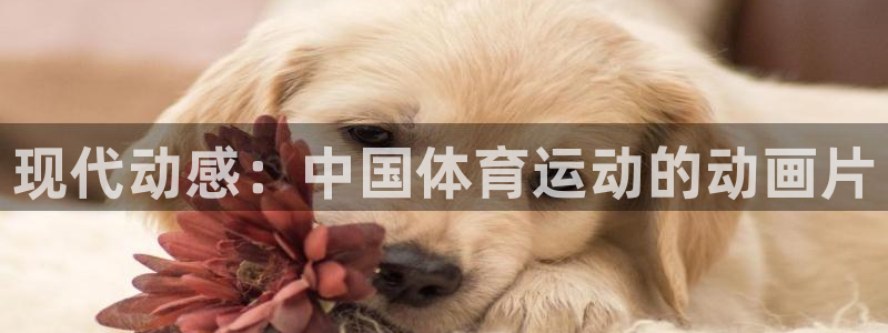 意昂体育4