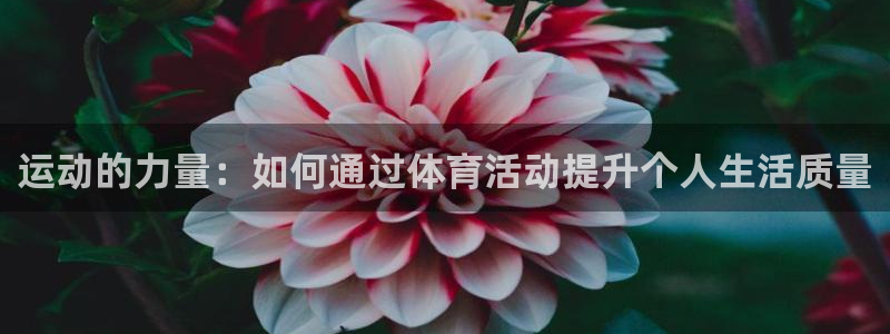 意昂的动画