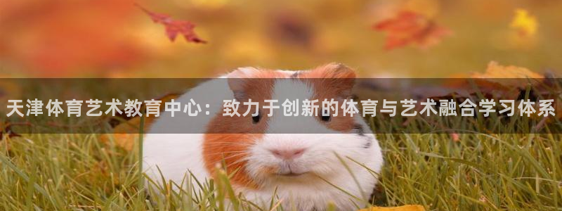 伟德国际2体育登录入口
