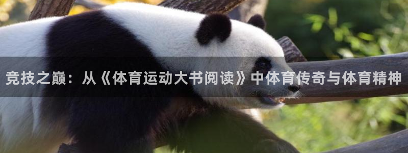 伟德国际体育凯捷登陆