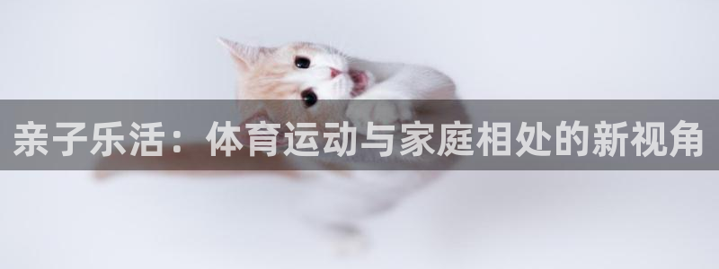 伟德国际f凯捷平台在线注册